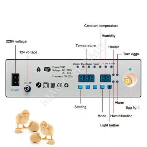 Инкубатор для яиц Demetra DM-176